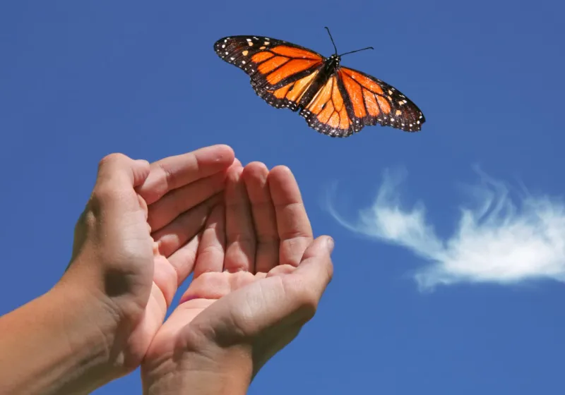 Stop Holding Grudges and Dwelling on Past Mistakes