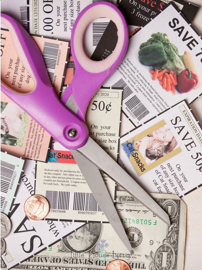 Thriftiness and Living Within Financial Means
