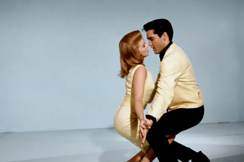 31 Films and Hollywood Fame
