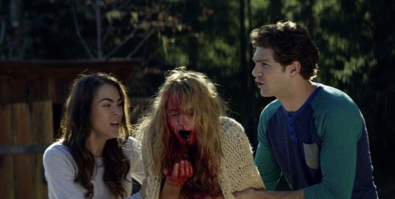 Cabin Fever (2016)