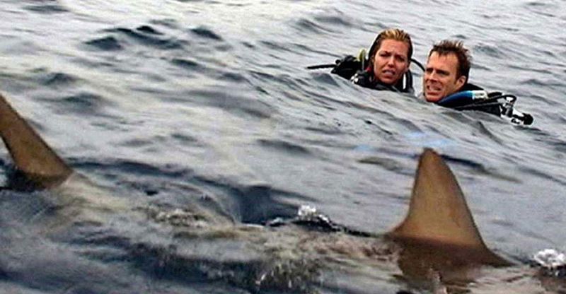 Open Water (2003)