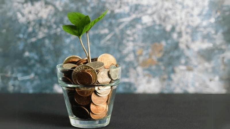 Financial Independence Changed Everything
