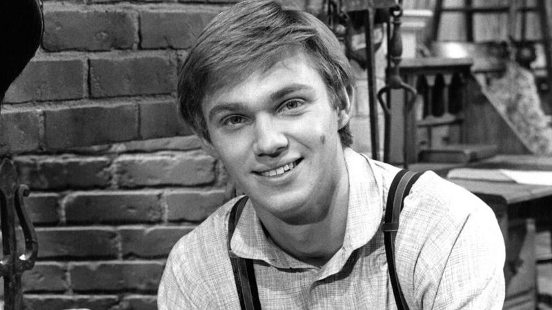 John-Boy Walton (The Waltons)