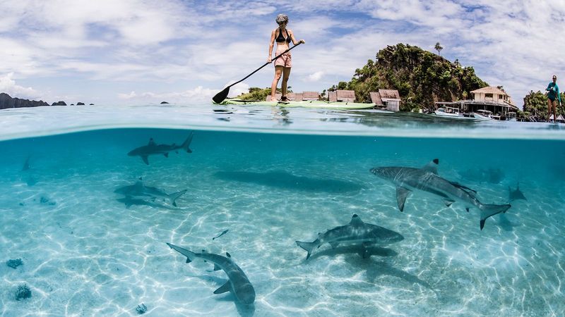 Raja Ampat Islands, Indonesia