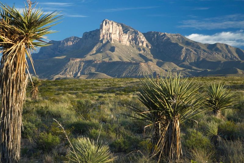 Guadalupe Mountains National Park, Texas