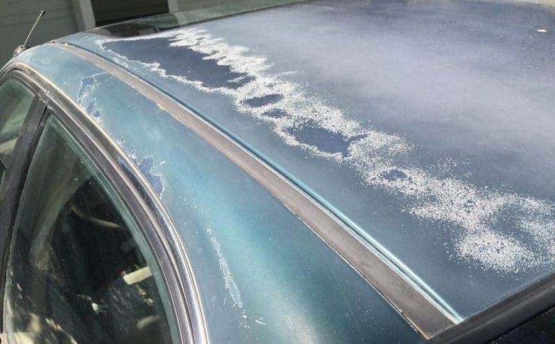 Paint That Could Not Last