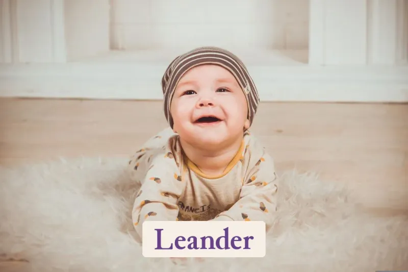 Leander