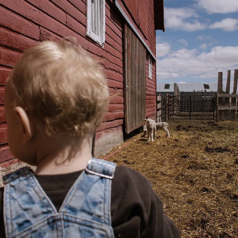 Were You Born in a Barn?