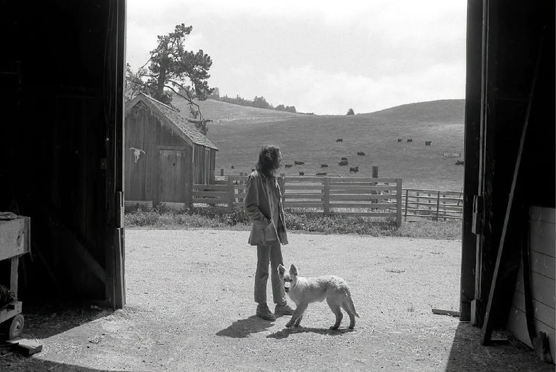 Old King - Neil Young