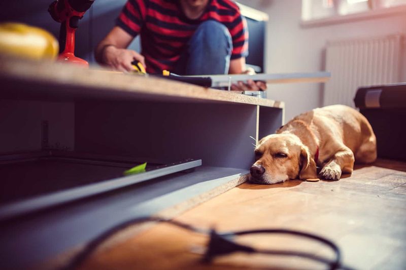 Mastering Basic Home Maintenance and DIY