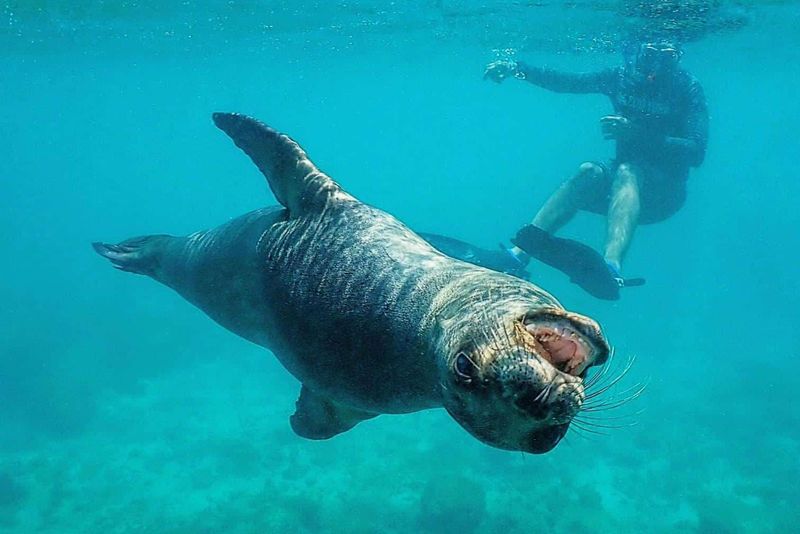 Galapagos Islands, Ecuador