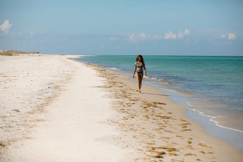 Florida's Forgotten Coast