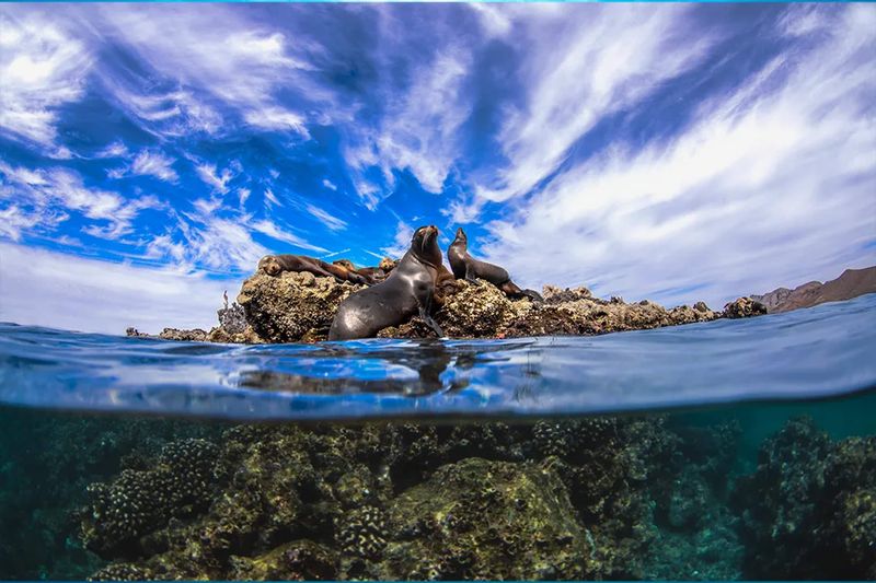 Cabo Pulmo, Baja California, Mexico