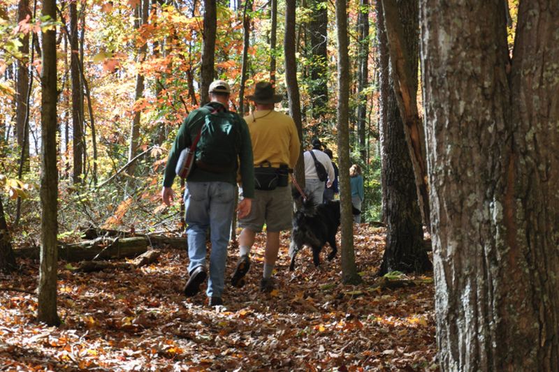 Hiking and Nature Walking