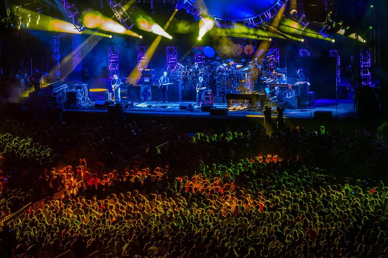 The Grateful Dead