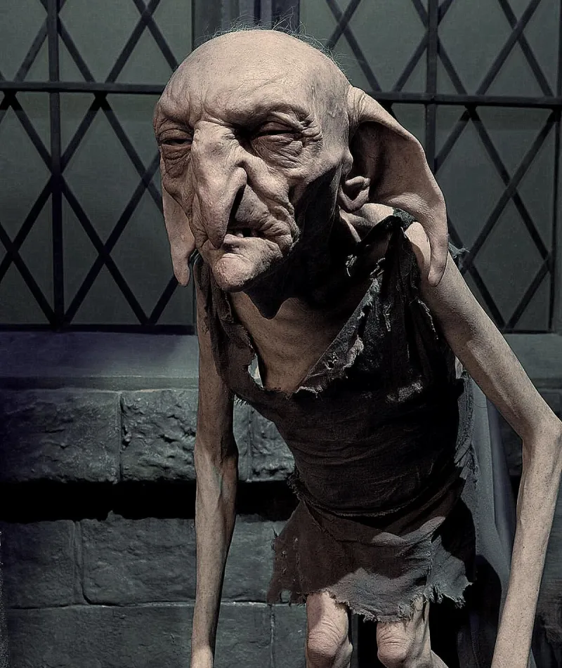 Kreacher's Redemption and the Elf Army at Hogwarts