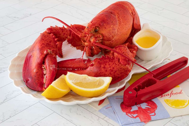 Steamed Maine Lobster