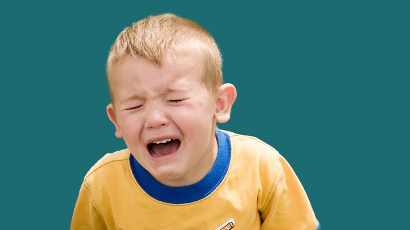 Have a Meltdown
