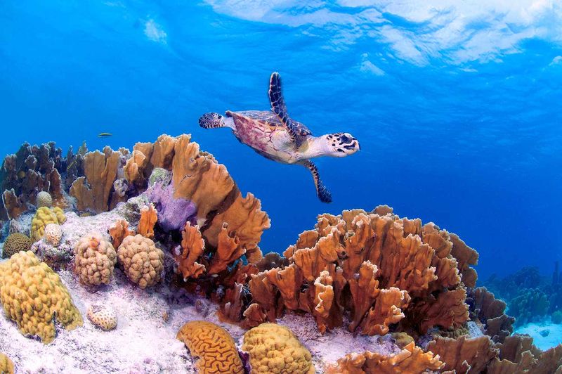 Bonaire, Caribbean Netherlands
