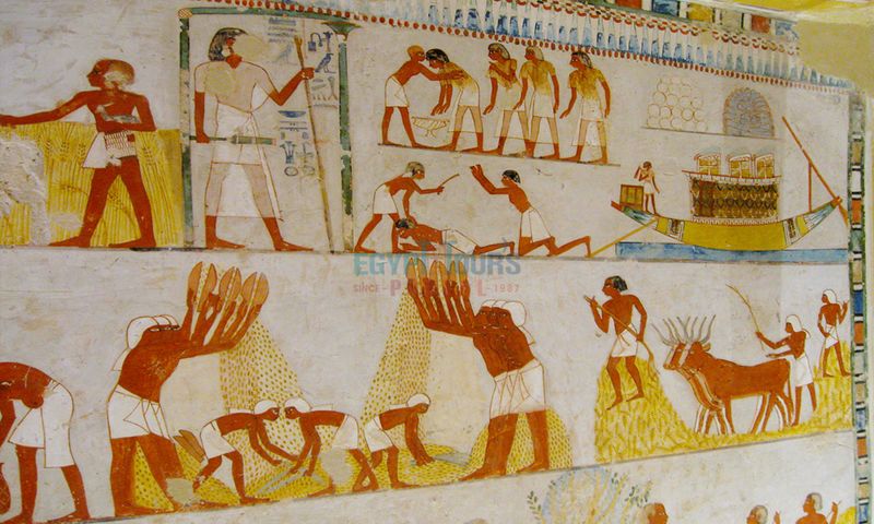 The Egyptians Used Slaves to Build the Pyramids