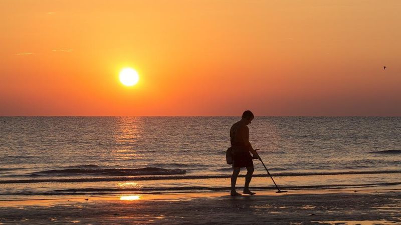 Metal Detector