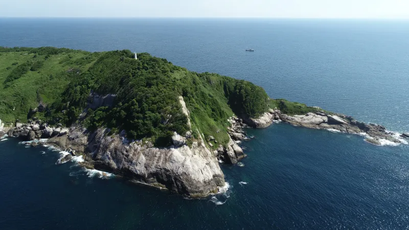 Ilha da Queimada Grande (Snake Island), Brazil