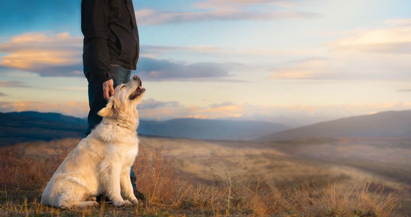 Little Boys Grow Up and Dogs Get Old - Luke Bryan