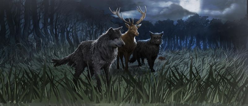 The Marauders' Untold Origin Story