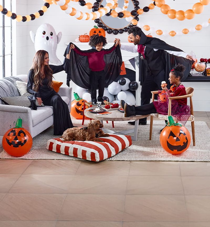 Halloween Decorations and Costumes
