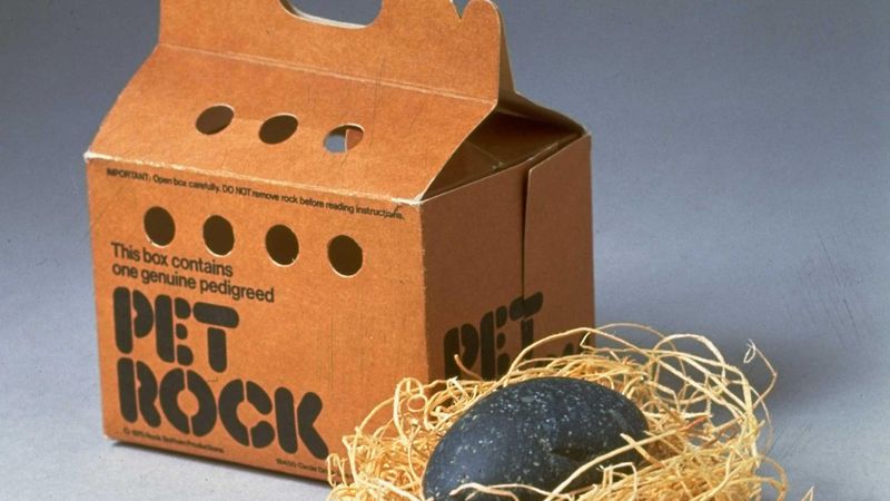 Pet Rocks