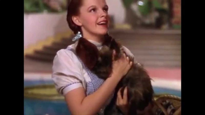 The Wizard of Oz: Dorothy's Famous Kansas Line Gets Twisted