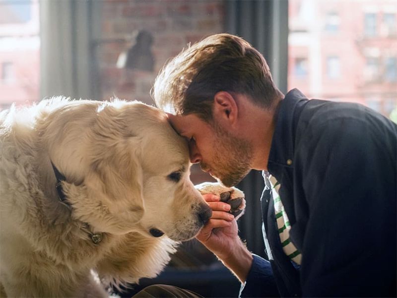 They Feel a Deep, Unexplained Connection to Animals