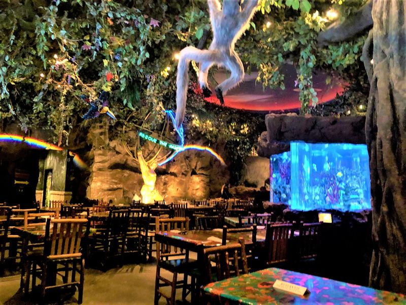 Rainforest Cafe (Lake Buena Vista & Orlando)