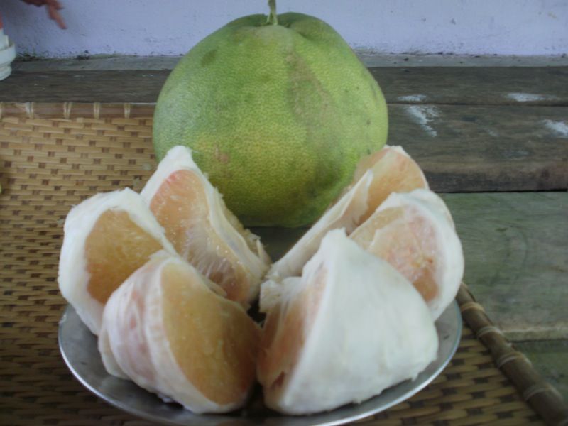 Pomelos