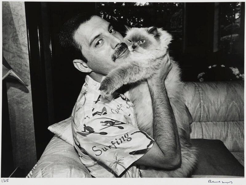 Freddie Mercury