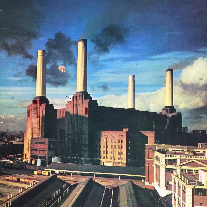 5. Animals (1977)