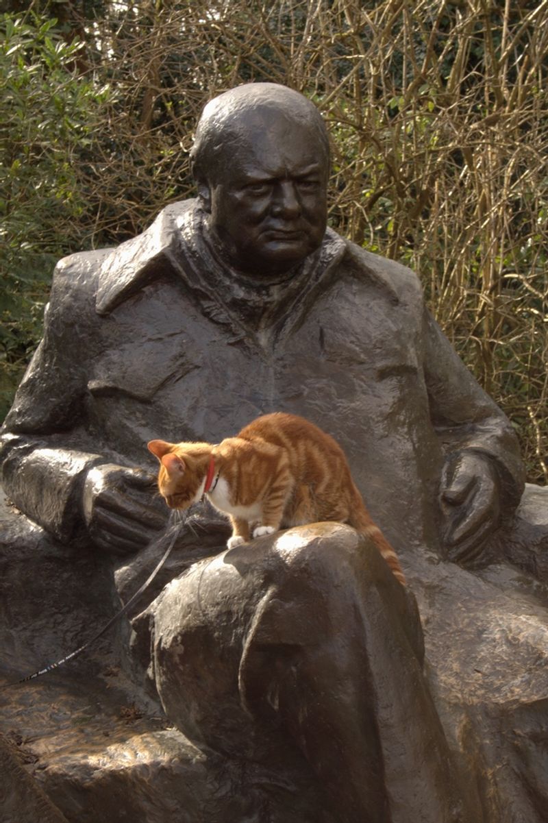 Winston Churchill