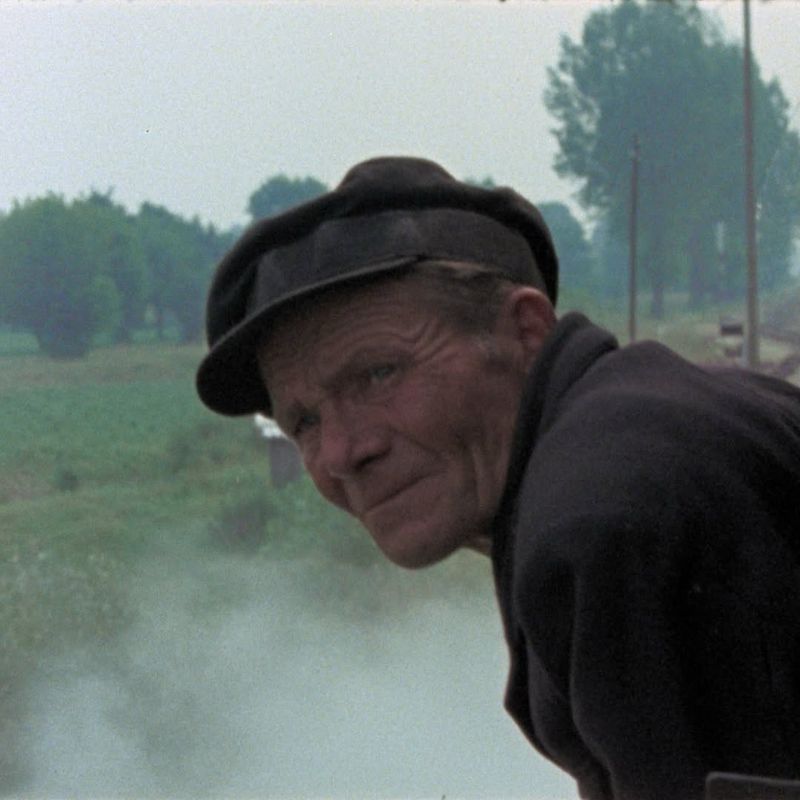 Shoah (1985)