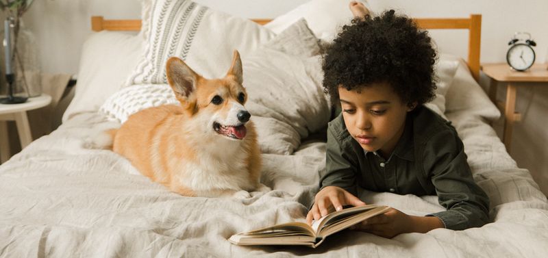 Access to Books for Reading and Escaping