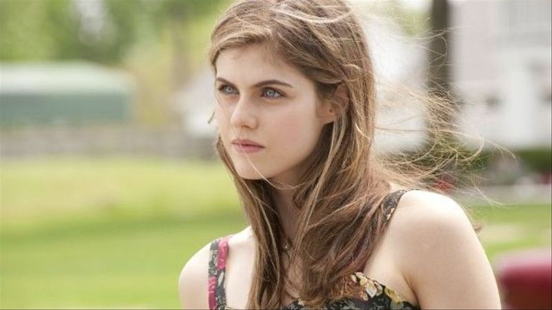 Joy in Wildflower (2022)