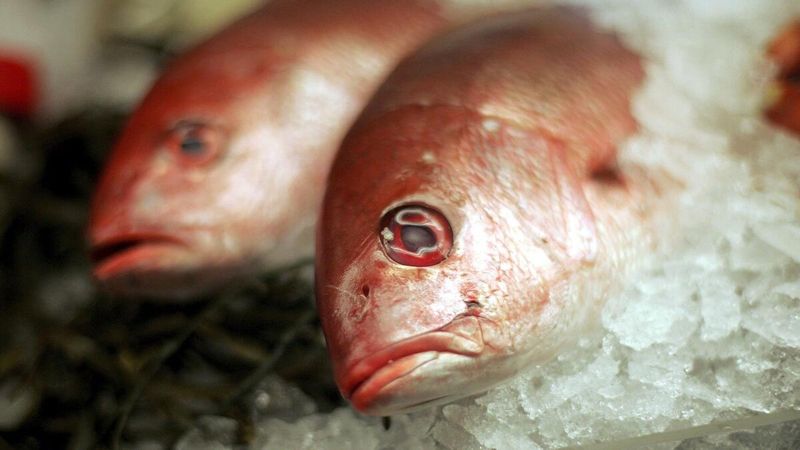 Grouper
