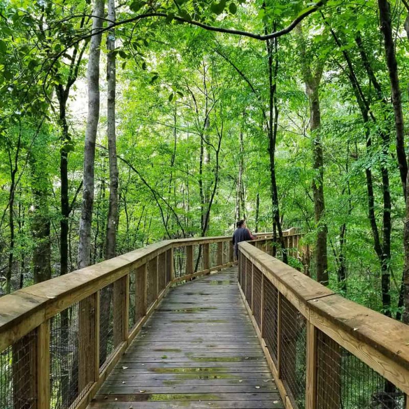Congaree National Park