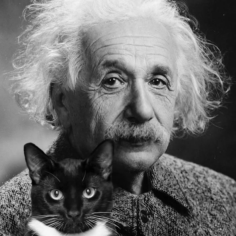 Albert Einstein