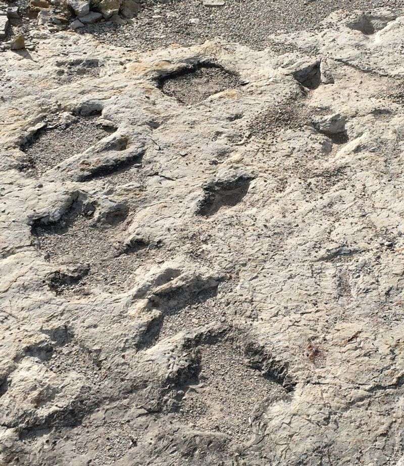 Clayton Lake State Park Dinosaur Trackways
