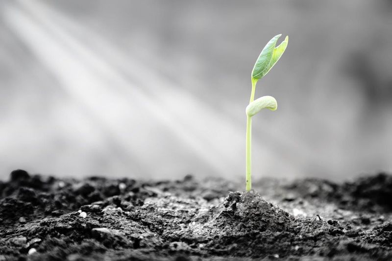 A Future Full of Genuine Hope and Possibility