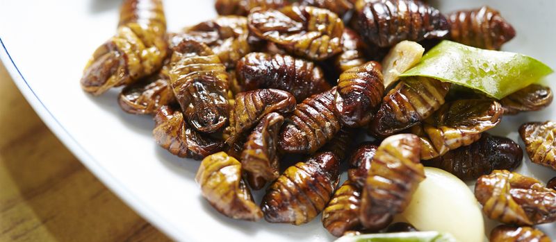 Fried Silkworms