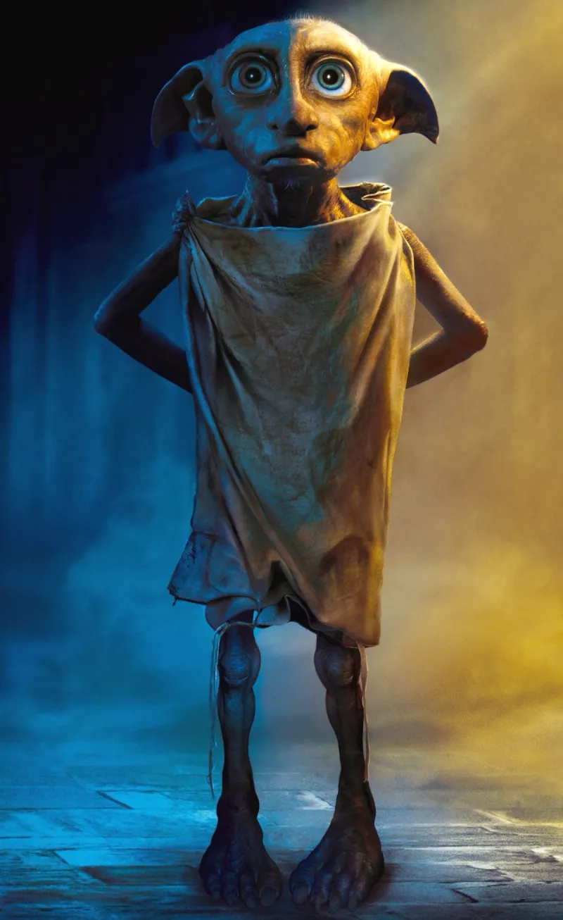 House-Elf Slavery Was Brushed Off Too Easily
