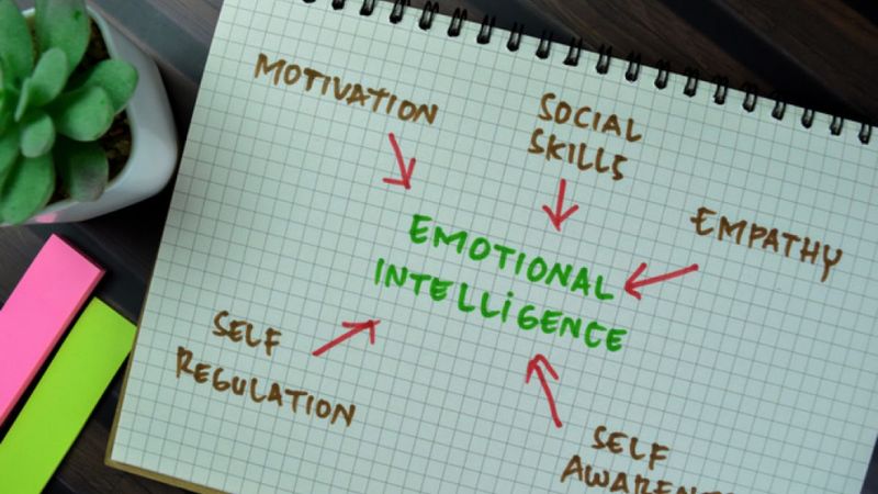 Emotional Intelligence
