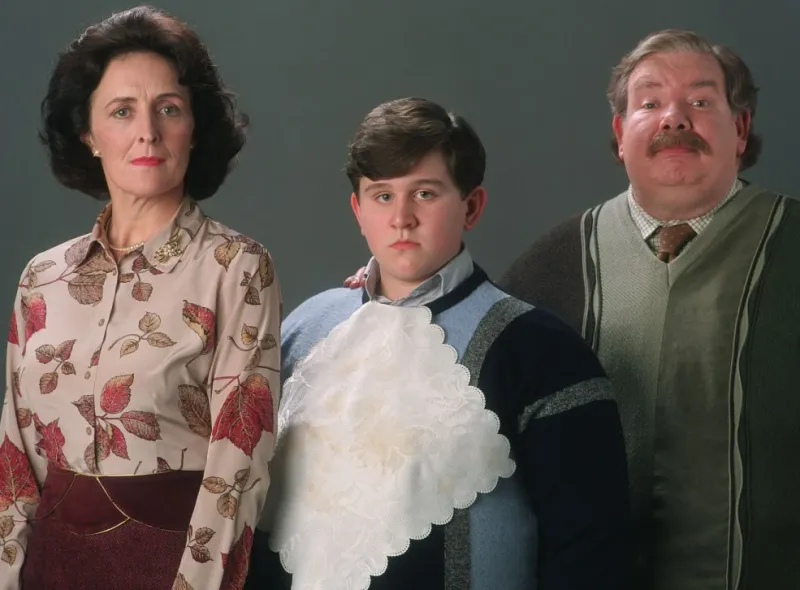 The Fat-Shaming of Dudley Dursley Was Unnecessary
