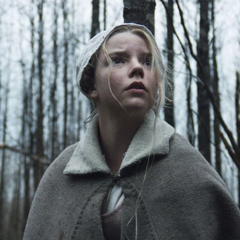The Witch (2015)